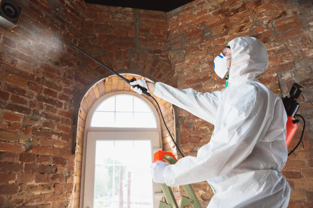 Best Mold Prevention Services  in Oregon, OH